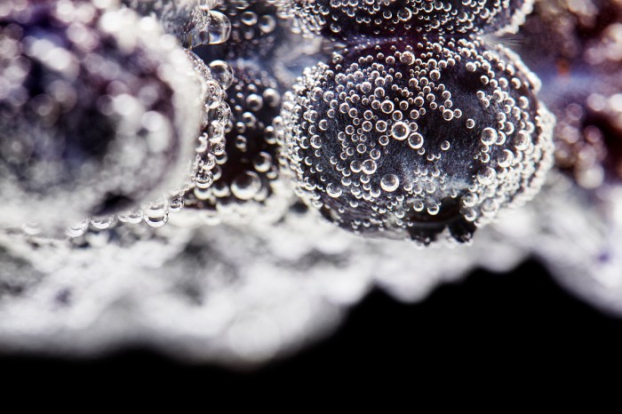 ColorInsperationSingle11