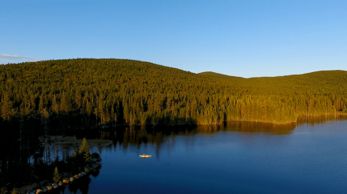 Screen Shot 2016-08-31 at 8.18.21 AM