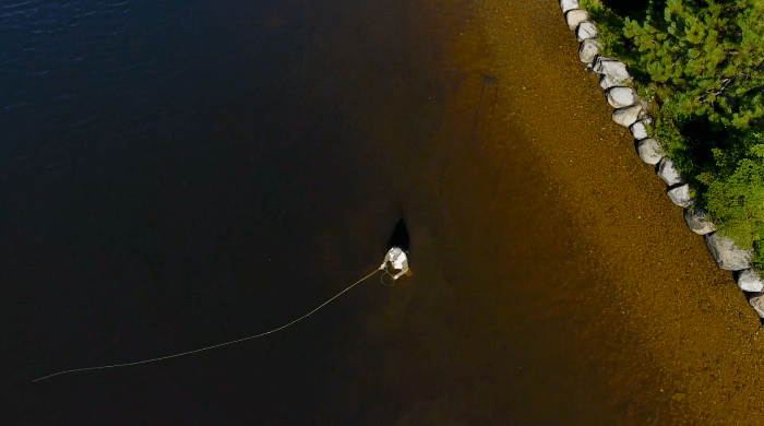 Screen Shot 2016-08-31 at 8.19.17 AM